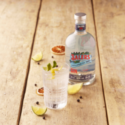 Gin Tonic SALERS